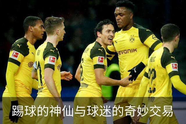 踢球的神仙与球迷的奇妙交易